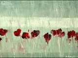Rain on some Poppies, 2018, Acryl auf Leinwand, 60 x 90 cm