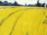 Yellow Field Haunstetten, 2024, Acryl auf Leinwand, 110 x 90 cm 